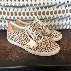 Leopard star shoes